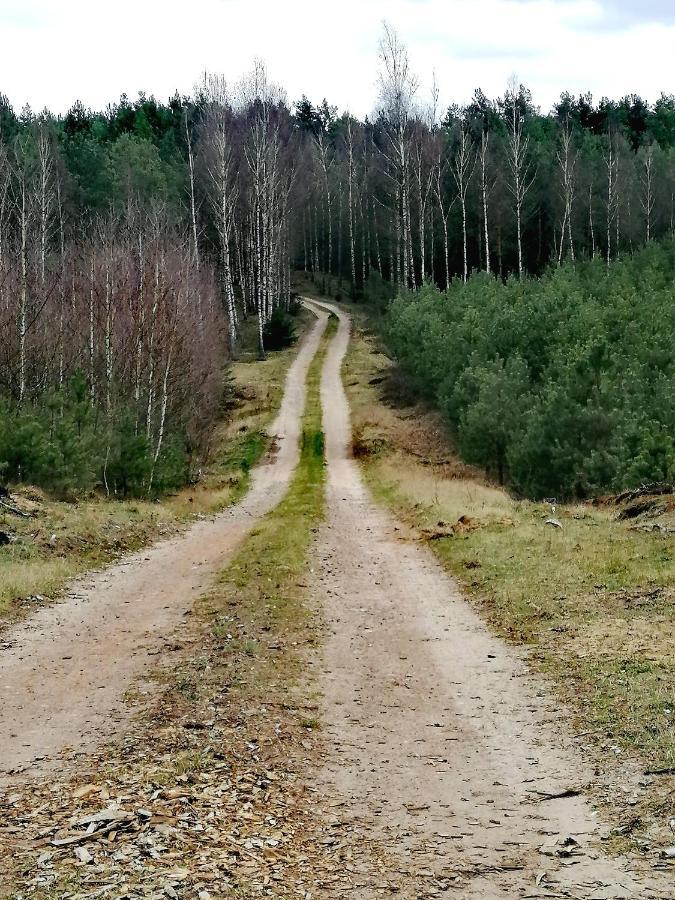 Wodamoja - Apartamenty Nad Jeziorem Stawiguda Kültér fotó
