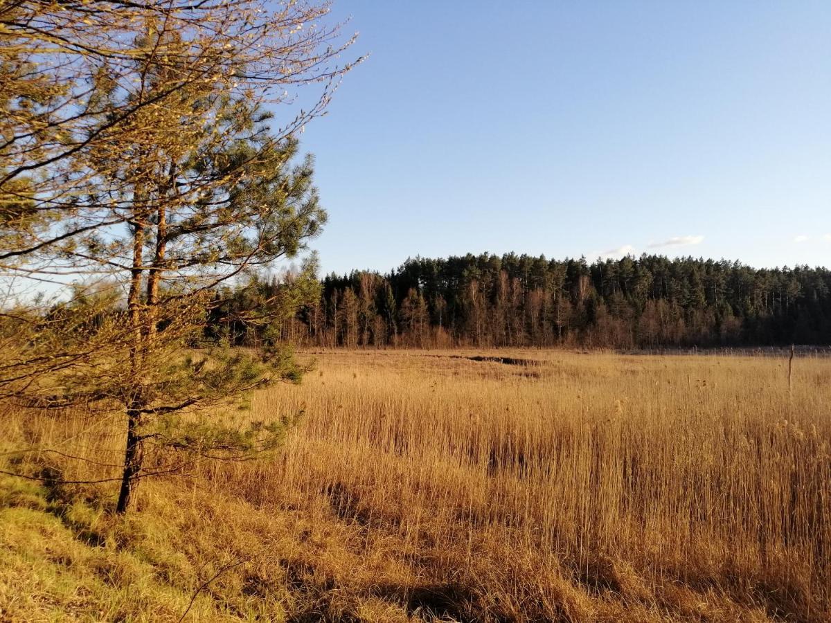 Wodamoja - Apartamenty Nad Jeziorem Stawiguda Kültér fotó