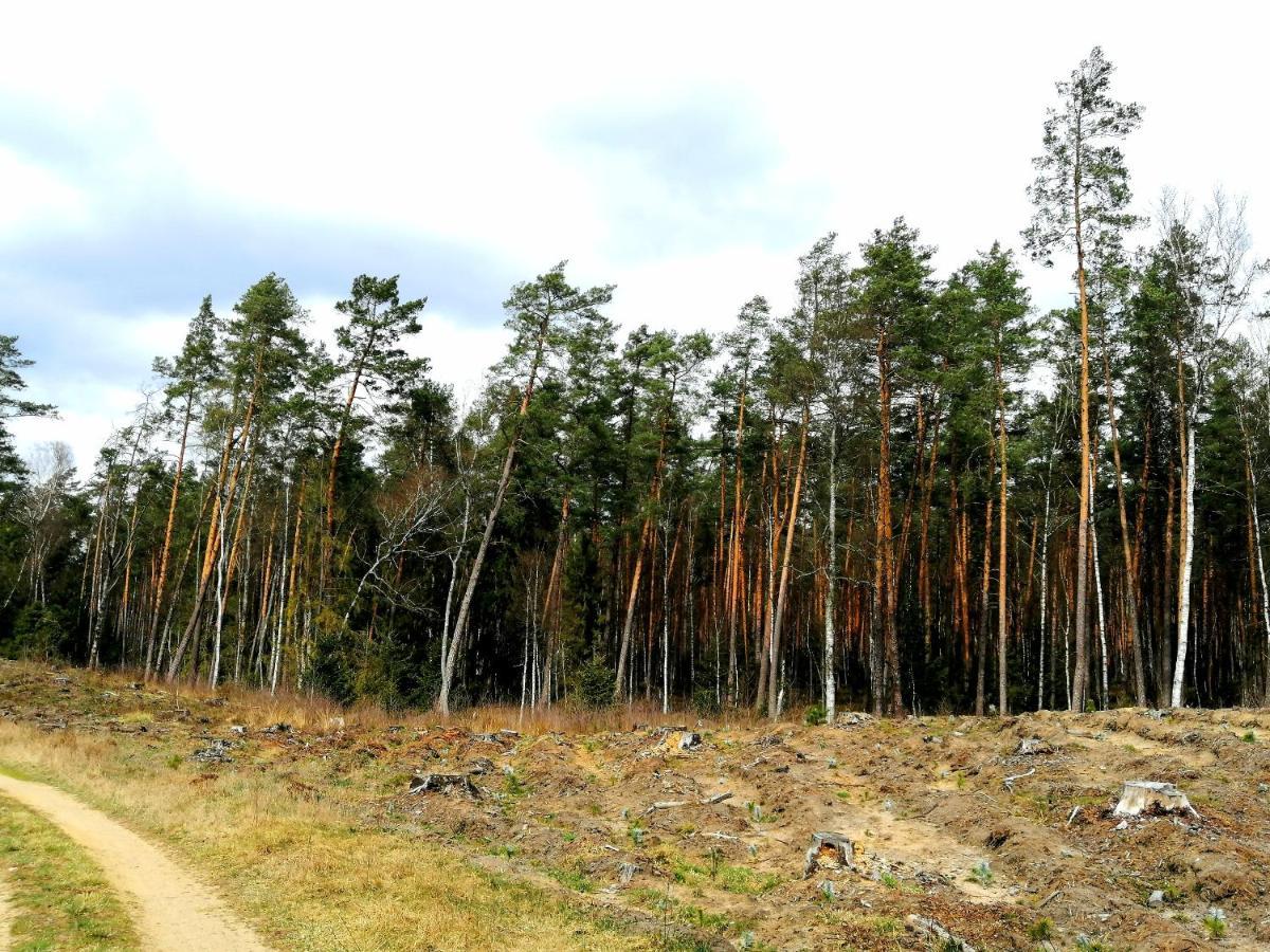 Wodamoja - Apartamenty Nad Jeziorem Stawiguda Kültér fotó